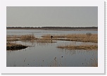 5 Lake Engure 0589 * 900 x 600 * (309KB)
